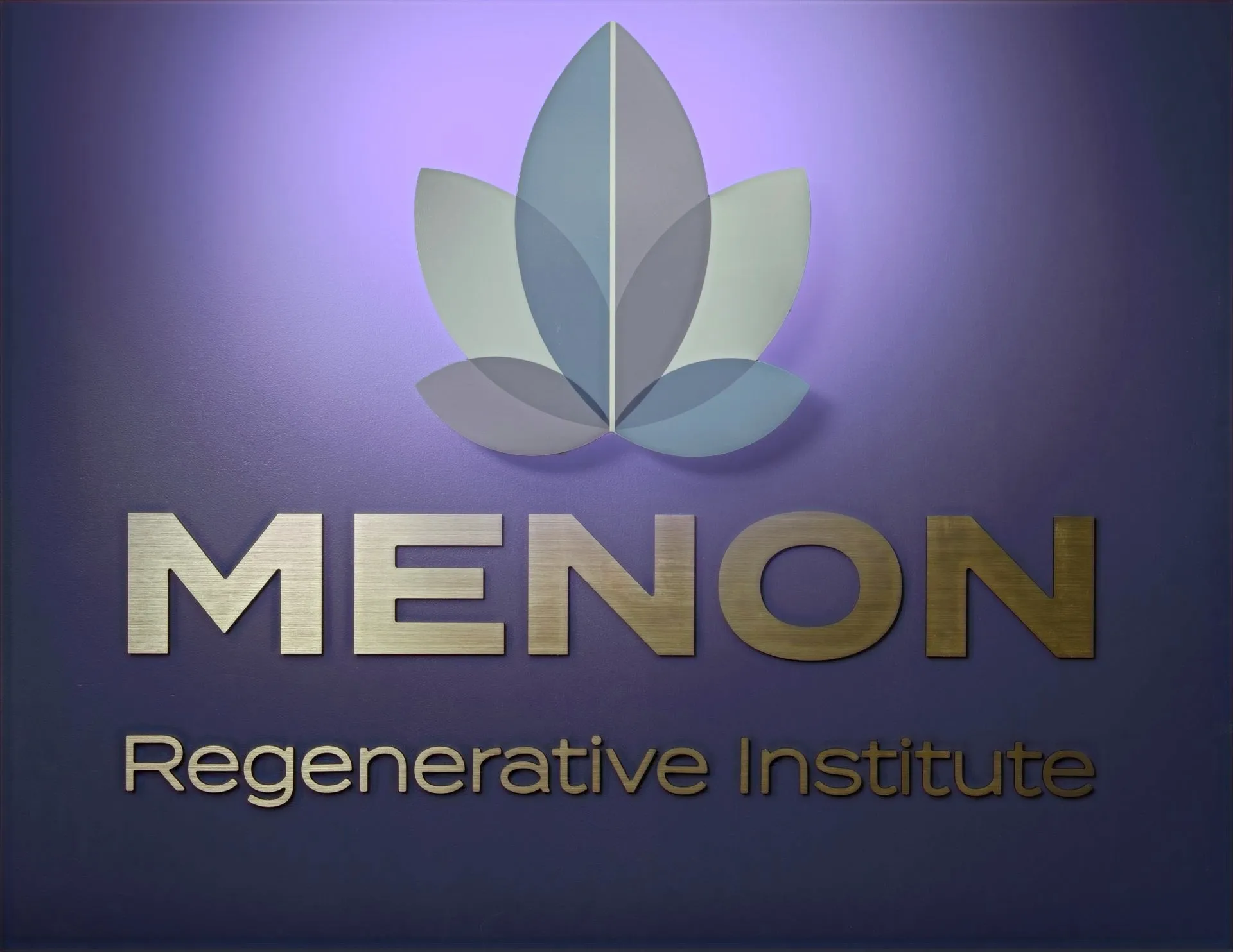 Why you need to know about Menon Medispa and Wellness